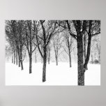 As I Side With Trees Poster at Zazzle