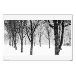 As I Side With Trees Wall Sticker at Zazzle