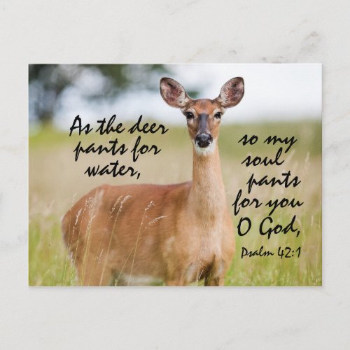 As the deer pants for water Bible Psalm 42 Custom Postcard