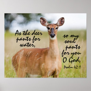 As the deer pants for water Bible Verse Psalm 42:1 Poster