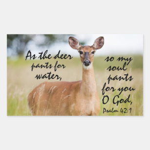 Deer Quotes Stickers Zazzle