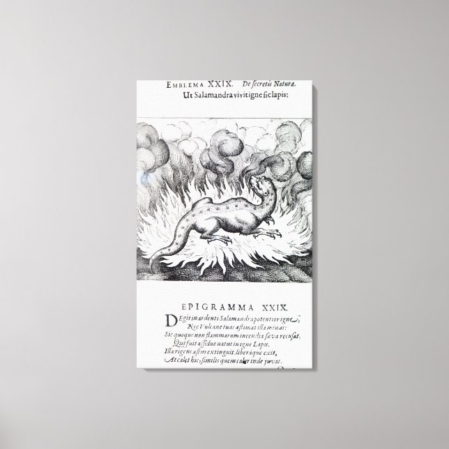 As the Salamander lives in fire Canvas Print (Front)