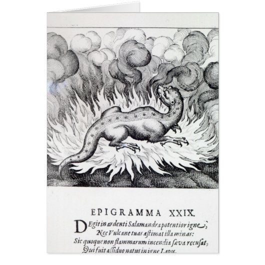 As the Salamander lives in fire Cards (Front)