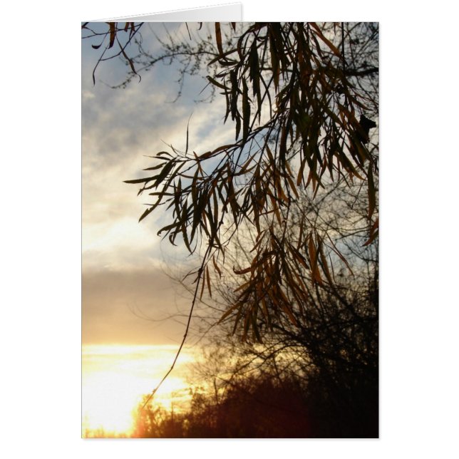 As The Sun Sets Cards (Front)