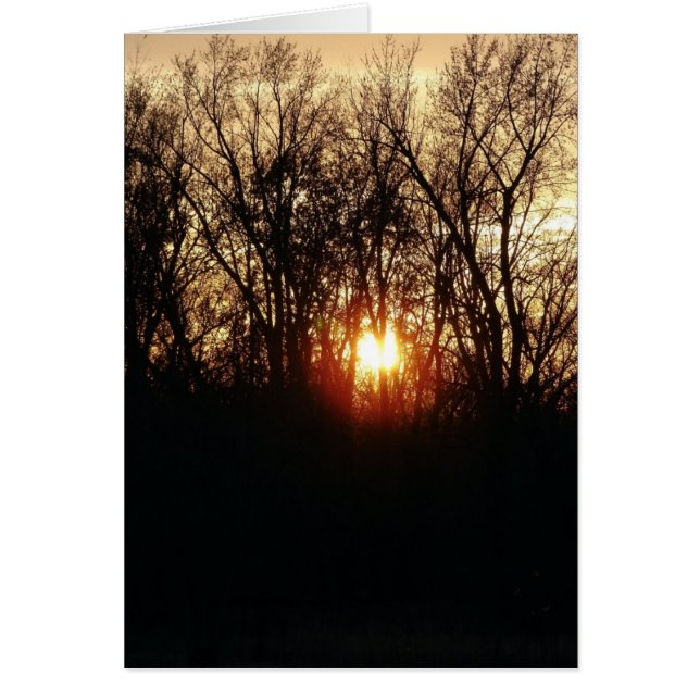 As The Sun Sets Cards (Front)