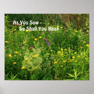 As You Sow Inspirational Quote Wildflowers Poster