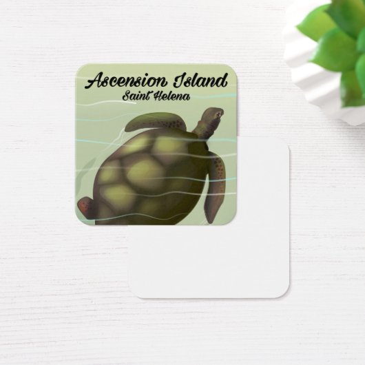 Ascension Island Sea Turtle (Desk)