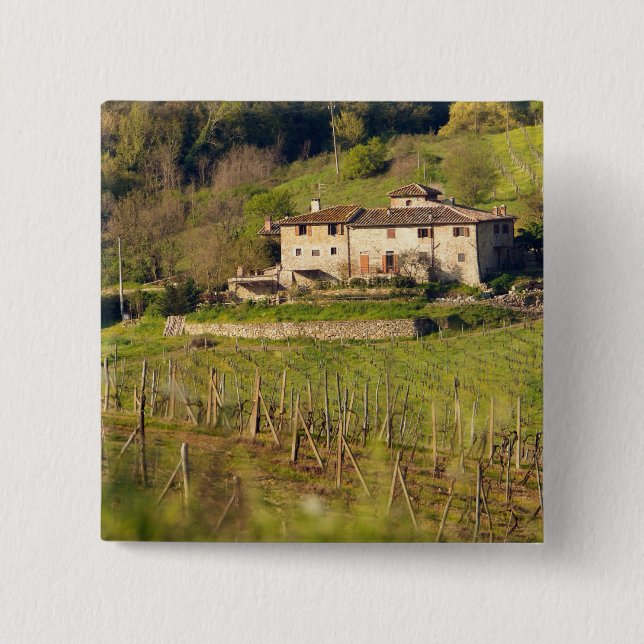 Aschuito, a working farm that accepts guests, button (Front)