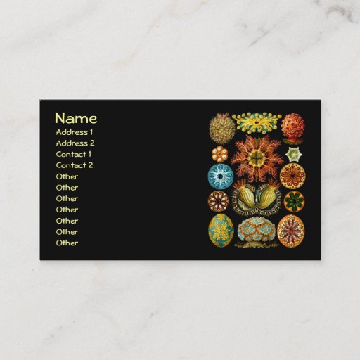 Customizable Ascidiacea (Sea Squirts), Ernst Haeckel Business Cards