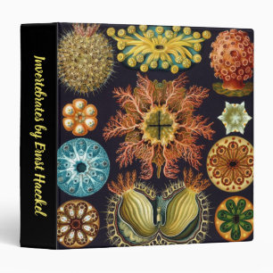 Ascidiae by Ernst Haeckel, Vintage Marine Animals 3 Ring Binder