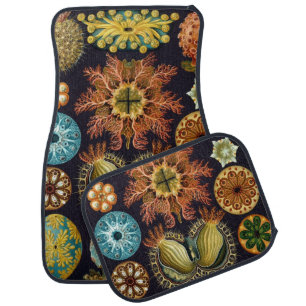 Ascidiae by Ernst Haeckel, Vintage Marine Animals Car Mat