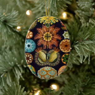Ascidiae by Ernst Haeckel, Vintage Marine Animals Ceramic Ornament
