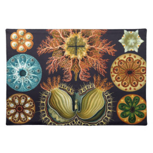 Ascidiae by Ernst Haeckel, Vintage Marine Animals Cloth Placemat