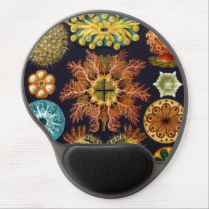 Ascidiae by Ernst Haeckel, Vintage Marine Animals Gel Mouse Pad