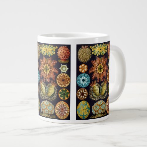 Ascidiae by Ernst Haeckel Vintage Marine Animals Giant Coffee Mug