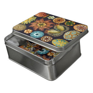 Ascidiae by Ernst Haeckel, Vintage Marine Animals Jigsaw Puzzle