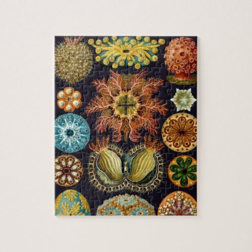 Ascidiae by Ernst Haeckel Vintage Marine Animals Jigsaw Puzzle