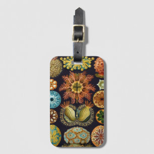 Ascidiae by Ernst Haeckel, Vintage Marine Animals Luggage Tag