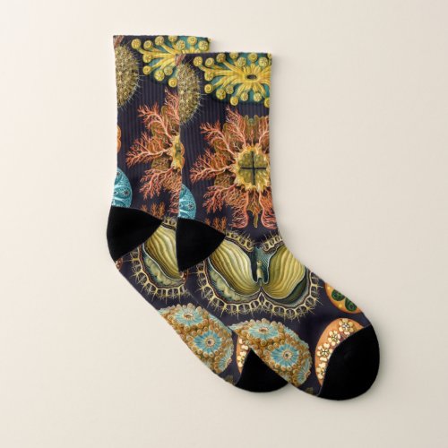 Ascidiae by Ernst Haeckel Vintage Marine Animals Socks