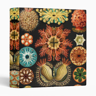 Ascidiae, Seescheiden Marine Life by Ernst Haeckel 3 Ring Binder
