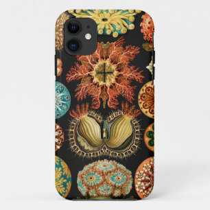 Ascidiae, Seescheiden Marine Life by Ernst Haeckel iPhone 11 Case