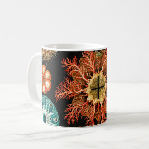 Ascidiae, Seescheiden Marine Life by Ernst Haeckel Coffee Mug