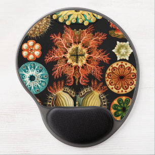Ascidiae, Seescheiden Marine Life by Ernst Haeckel Gel Mouse Pad