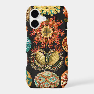 Ascidiae, Seescheiden Marine Life by Ernst Haeckel iPhone 17 Case