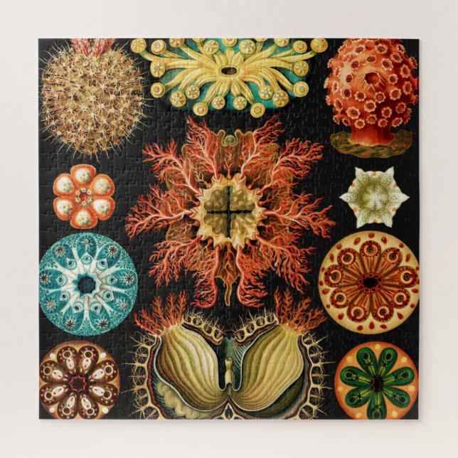 Ascidiae, Seescheiden Marine Life by Ernst Haeckel Jigsaw Puzzle (Vertical)