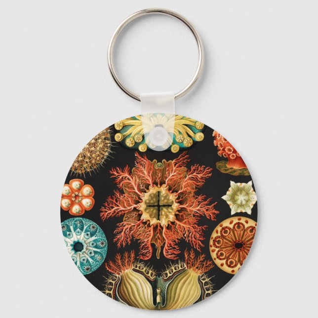 Ascidiae, Seescheiden Marine Life by Ernst Haeckel Keychain (Front)