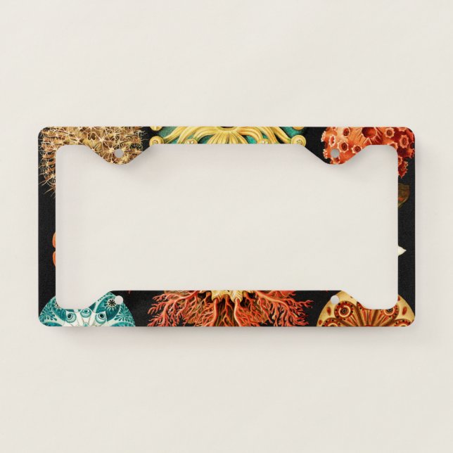 Ascidiae, Seescheiden Marine Life by Ernst Haeckel License Plate Frame (Front)
