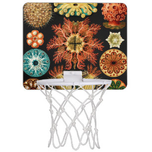 Ascidiae, Seescheiden Marine Life by Ernst Haeckel Mini Basketball Hoop