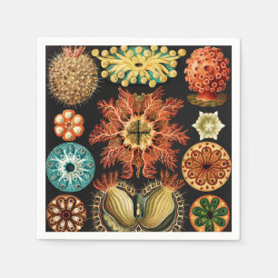 Ascidiae, Seescheiden Marine Life by Ernst Haeckel Napkins