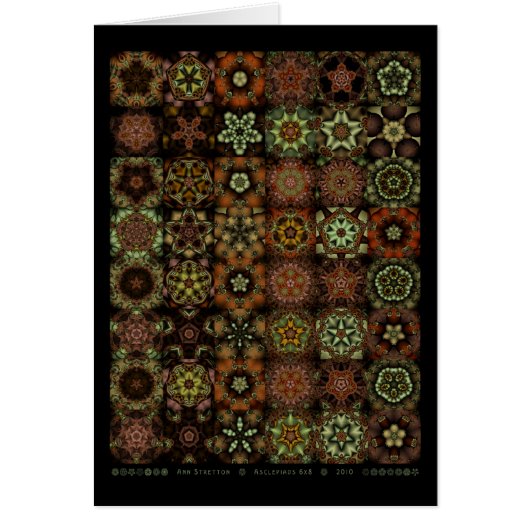 Asclepiads 6x8 cards (Front)