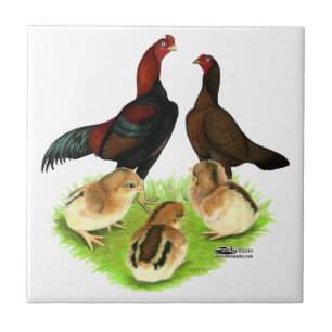 Aseel Black Red Chicken Family Ceramic Tile
