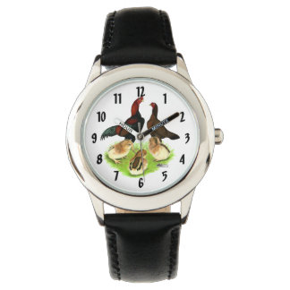 Aseel Black Red Chicken Family Watch