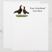 Aseel Black Red Chickens (Front/Back)