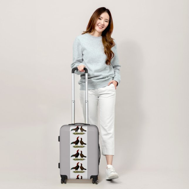 Aseel Black Red Chickens Luggage (Scale)