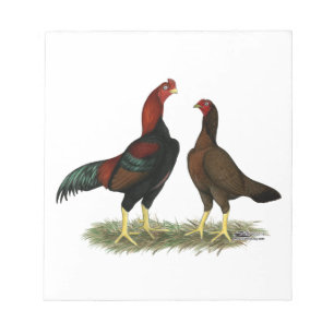 Aseel Black Red Chickens Notepad