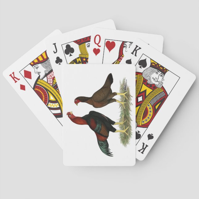 Aseel Black Red Chickens Poker Cards (Back)