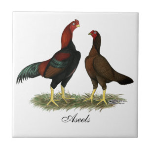 Aseel Black Red Chickens Tile