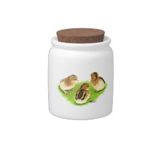 Aseel Black Red Chicks Candy Jar