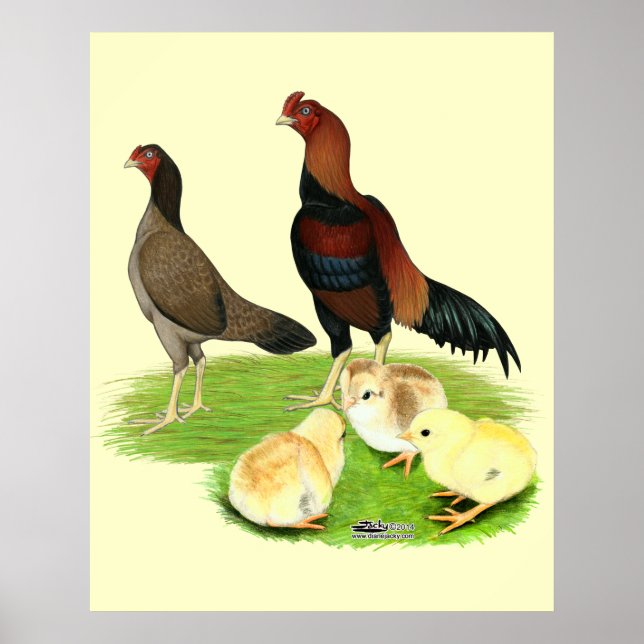 Aseel Wheaten Chicken Family Poster (Front)