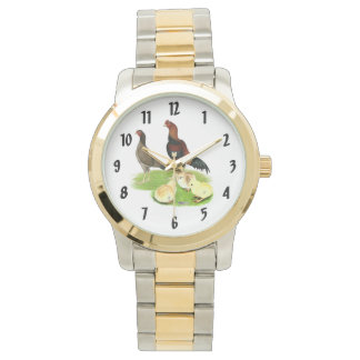 Aseel Wheaten Chicken Family Watch