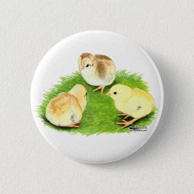 Aseel Wheaten Chicks Button (Front)