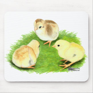 Aseel Wheaten Chicks Mouse Pad