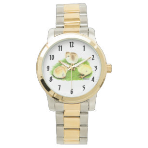 Aseel Wheaten Chicks Watch