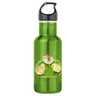 Aseel Wheaten Chicks Water Bottle
