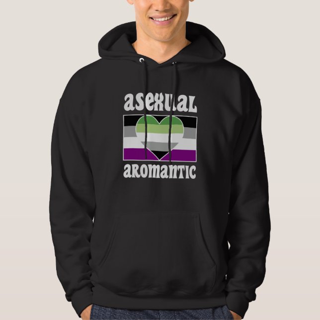 Asexual Aromantic Pride Flag Cute  Ace Aesthetic Hoodie (Front)