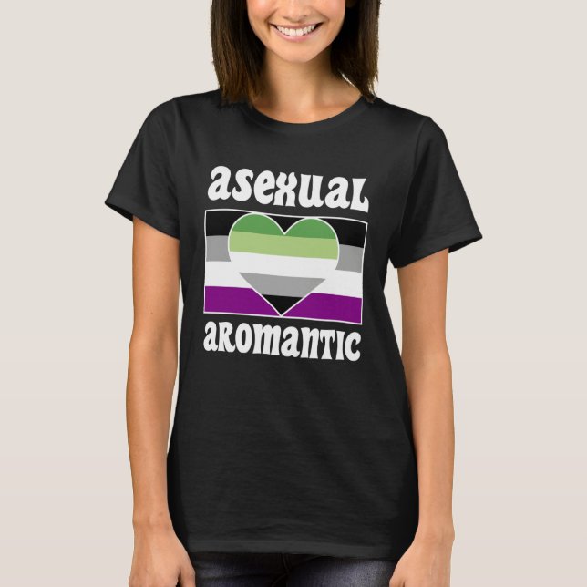 Asexual Aromantic Pride Flag Cute  Ace Aesthetic T-Shirt (Front)